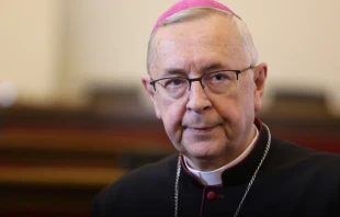 Archbishop Stanisław Gądecki, president of the Polish Catholic bishops’ conference. episkopat.pl.